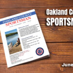 Magazine Cover website