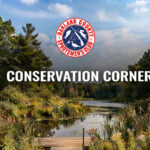 Conservation Corner Featured Image
